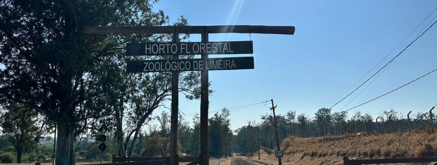 Limeira 199 anos tudo o que você precisa saber sobre a festa de aniversário no Horto