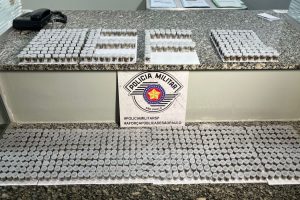 Denúncia leva PM a casa com drogas, arma e moto furtada em Limeira