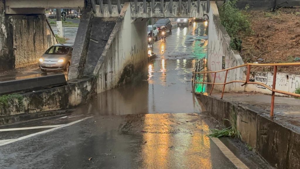 Imagem do WhatsApp de 2025-10-10 à(s) 17.55.28_380a5514