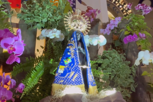 Paróquia Nossa Senhora Aparecida de Limeira traz programação especial no dia 12 de outubro