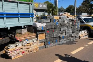 Volume de drogas apreendidas pela polícia de SP em 2025 já ultrapassa o de 2024