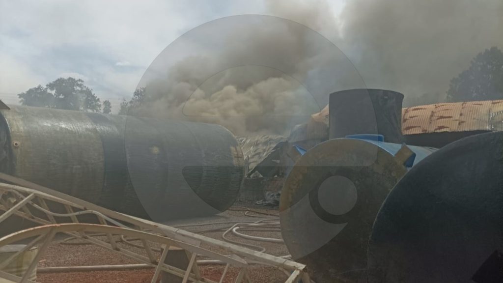 WhatsApp Image 2025-10-26 at 13.33.04 (1)