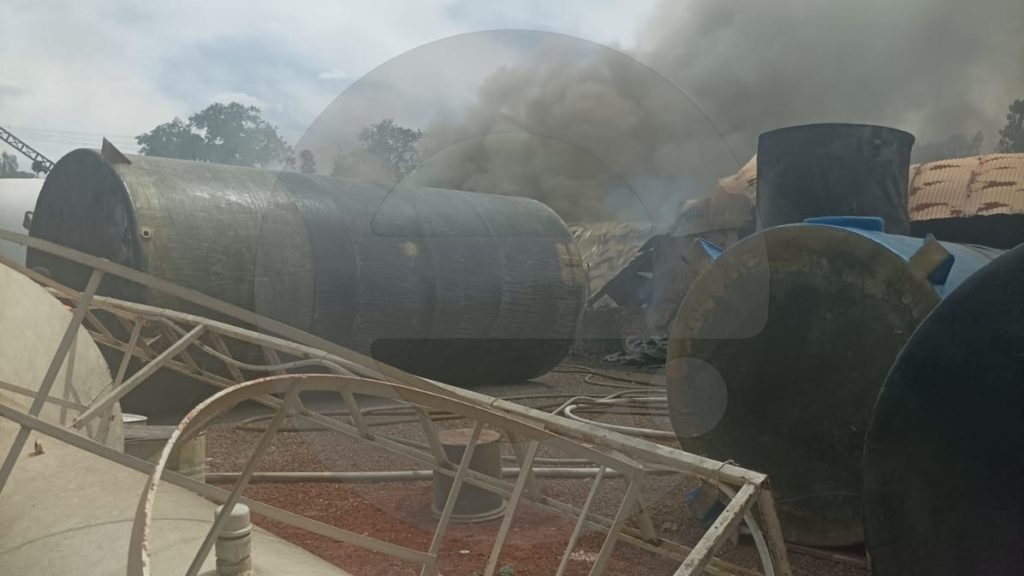 WhatsApp Image 2025-10-26 at 13.33.04