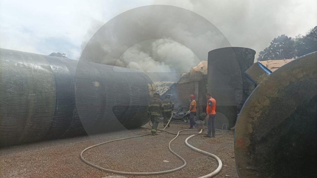 WhatsApp Image 2025-10-26 at 13.33.05 (1)