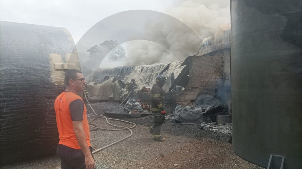 WhatsApp Image 2025-10-26 at 13.33.05