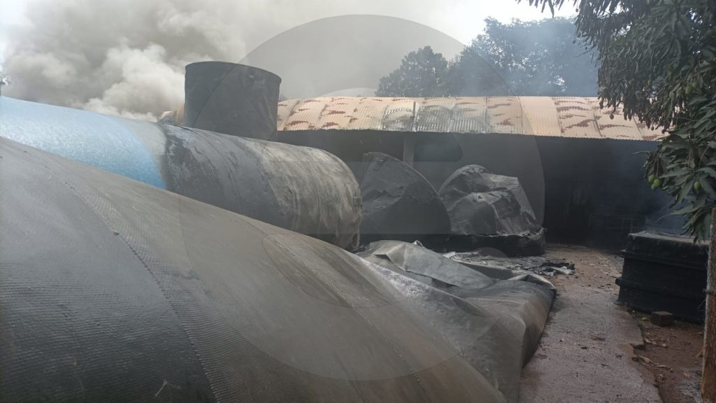 WhatsApp Image 2025-10-26 at 13.33.05 (2)