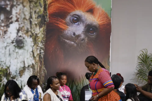 COP30 financiamento, transição e adaptação são centro das negociações