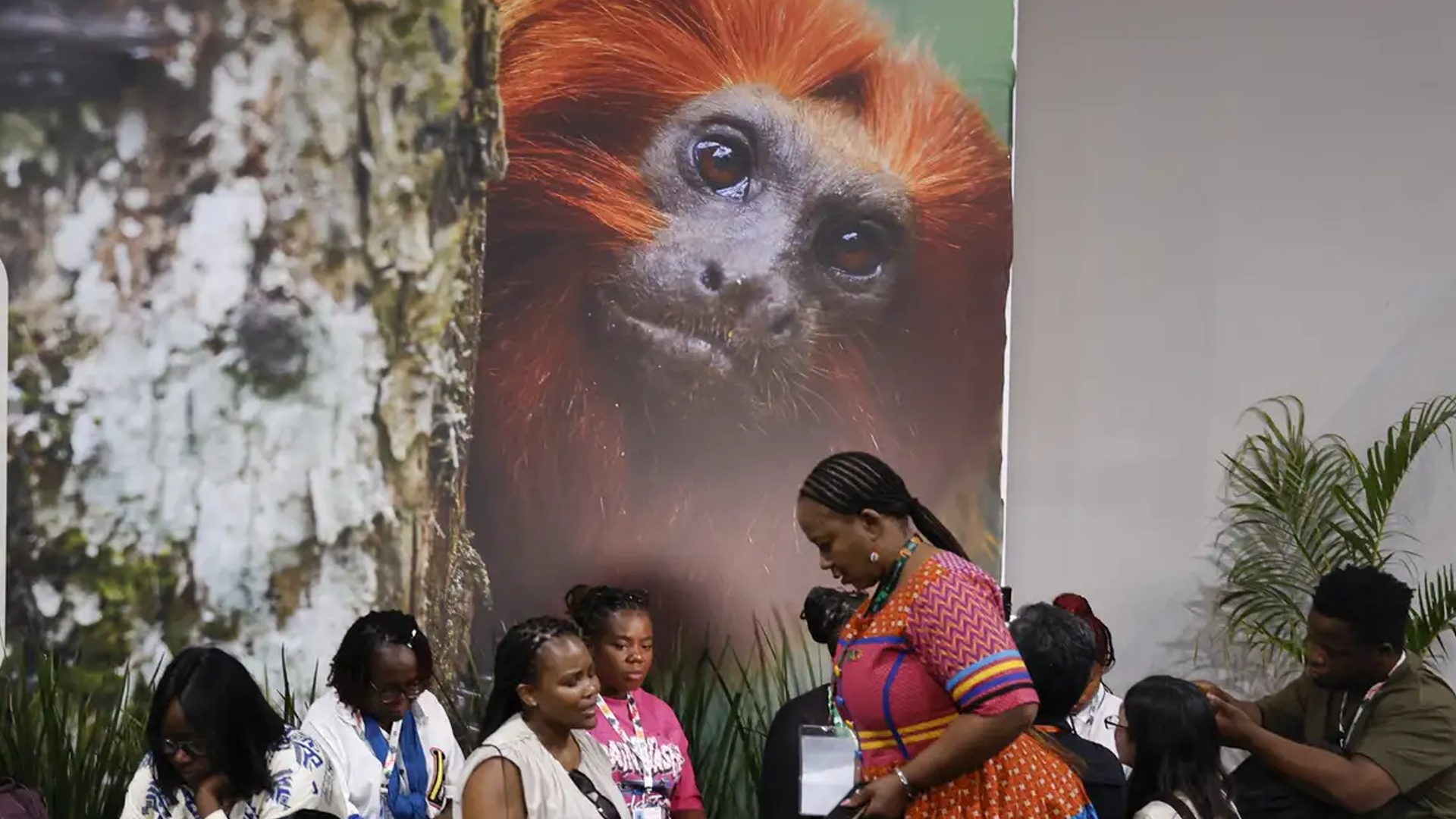 COP30 financiamento, transição e adaptação são centro das negociações