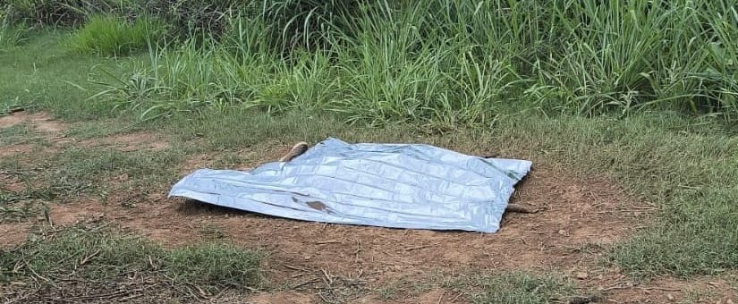 Corpo em decomposição é localizado na zona rural de Cosmópolis