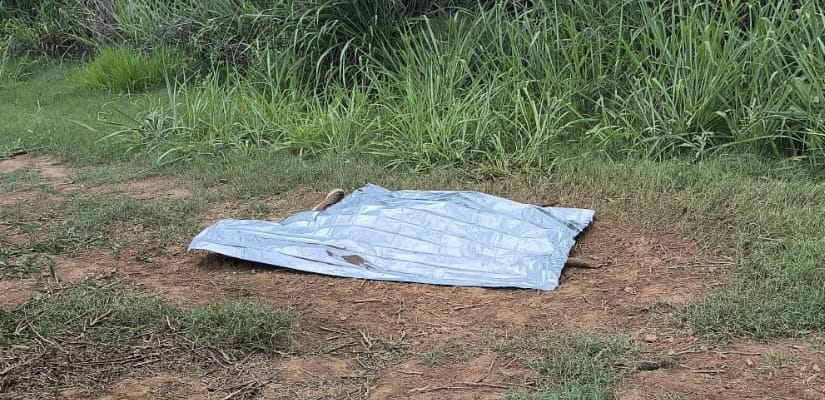 Corpo em decomposição é localizado na zona rural de Cosmópolis