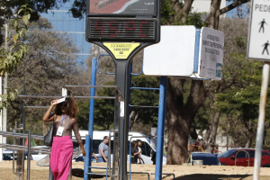 Efeitos das mudanças do clima agravam alergias, diz especialista