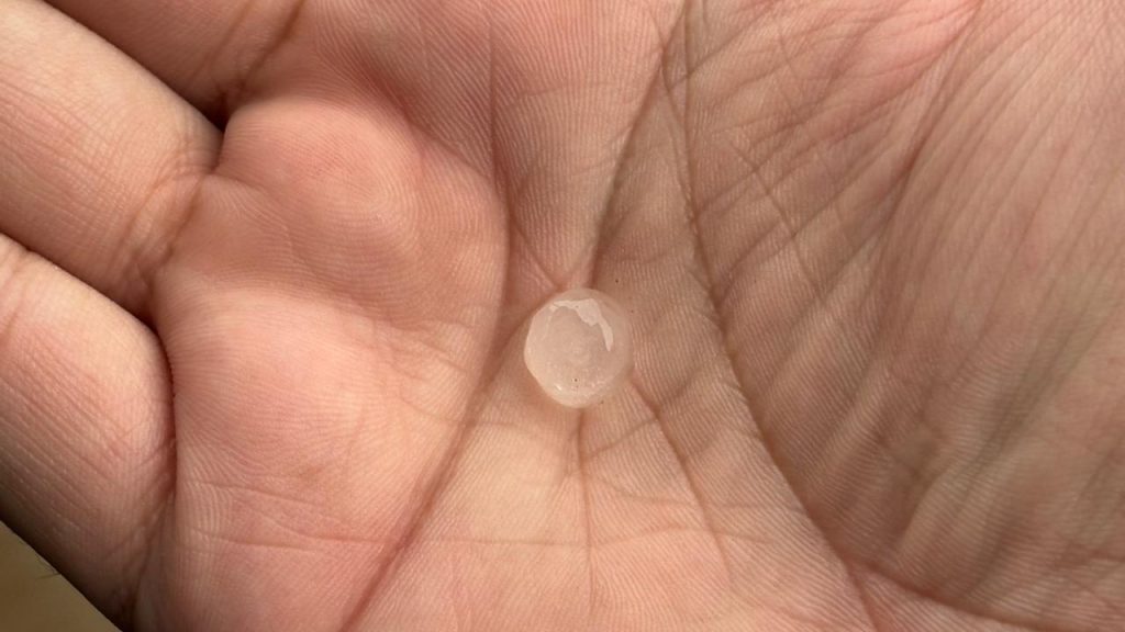 Imagem do WhatsApp de 2025-11-04 à(s) 14.00.59_8d14732f