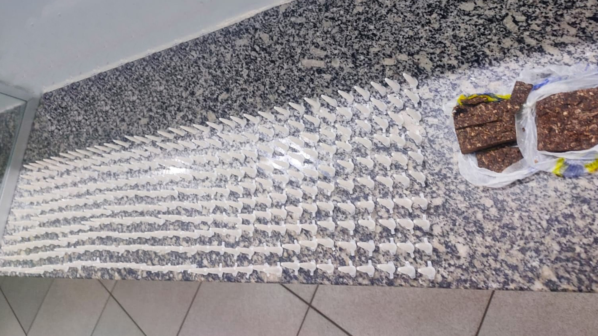 Jovem é presa com mais de 300 pinos de cocaína em casa no Belinha Ometto