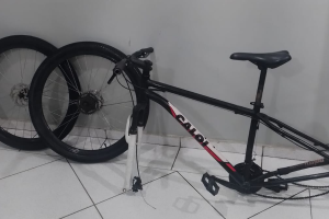 Mulher recupera bicicleta furtada após vê-la sendo vendida em rede social em Limeira