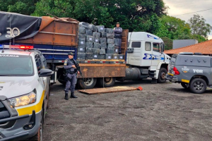 Muralha Paulista Polícia Rodoviária ultrapassa 111 toneladas de drogas apreendidas no ano
