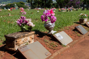 Prefeitura de Limeira orienta troca de boletos após extinção da Emdel