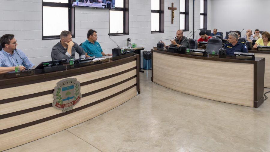 2025-12-11_comissao-de-seguranca-publica-discute-solucoes-para-denuncia-de-perturbacao-de-sossego-no-ibirapuera_1