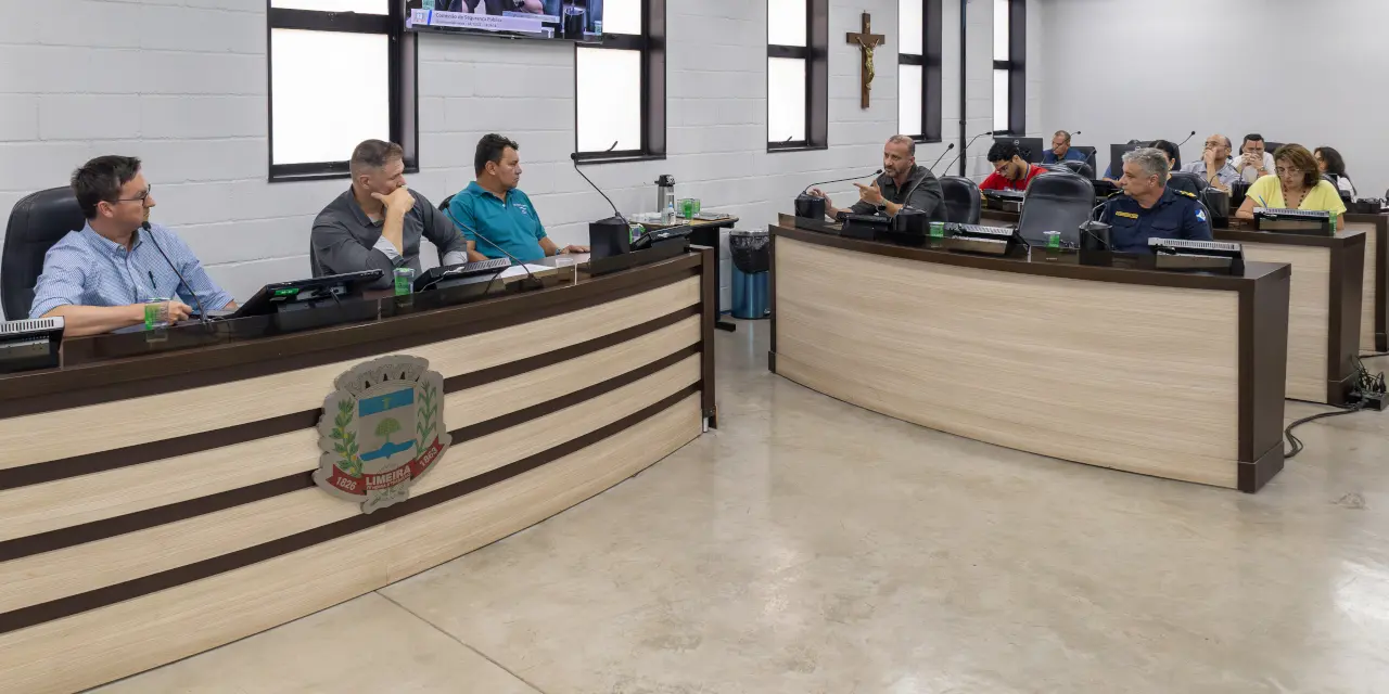 2025-12-11_comissao-de-seguranca-publica-discute-solucoes-para-denuncia-de-perturbacao-de-sossego-no-ibirapuera_1