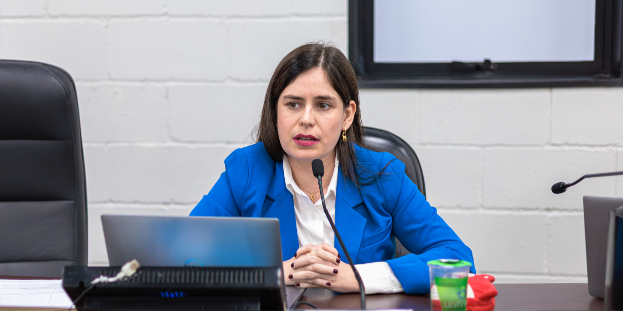 Animal não é coisa: Câmara de Limeira aprova projeto que proíbe distribuição de animais como brinde