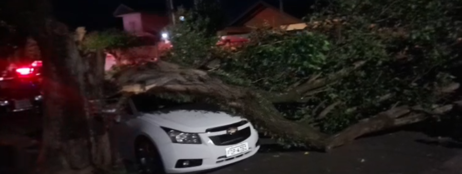 Árvore cai sobre carro estacionado no Jardim Nova Itália, em Limeira