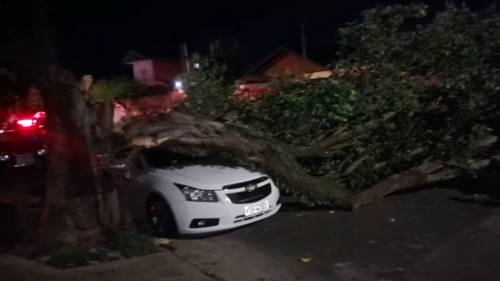 Árvore cai sobre carro estacionado no Jardim Nova Itália, em Limeira