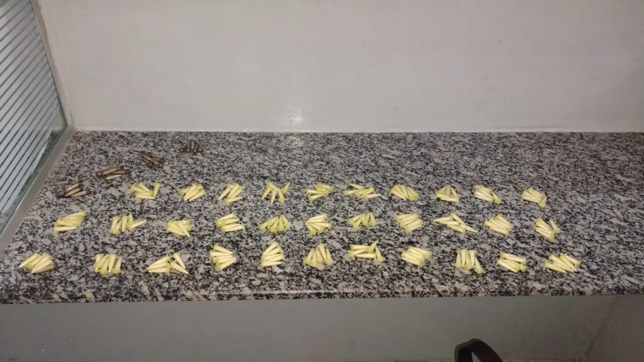 Casal é preso por tráfico de drogas durante operação da PM em Limeira (2)