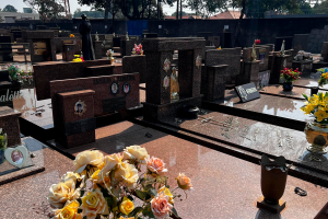 Confira os falecimentos de hoje, 31 de dezembro de 2025