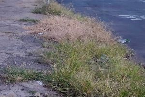 Fiscalização cobra manutenção de calçadas e notifica imóveis no Centro