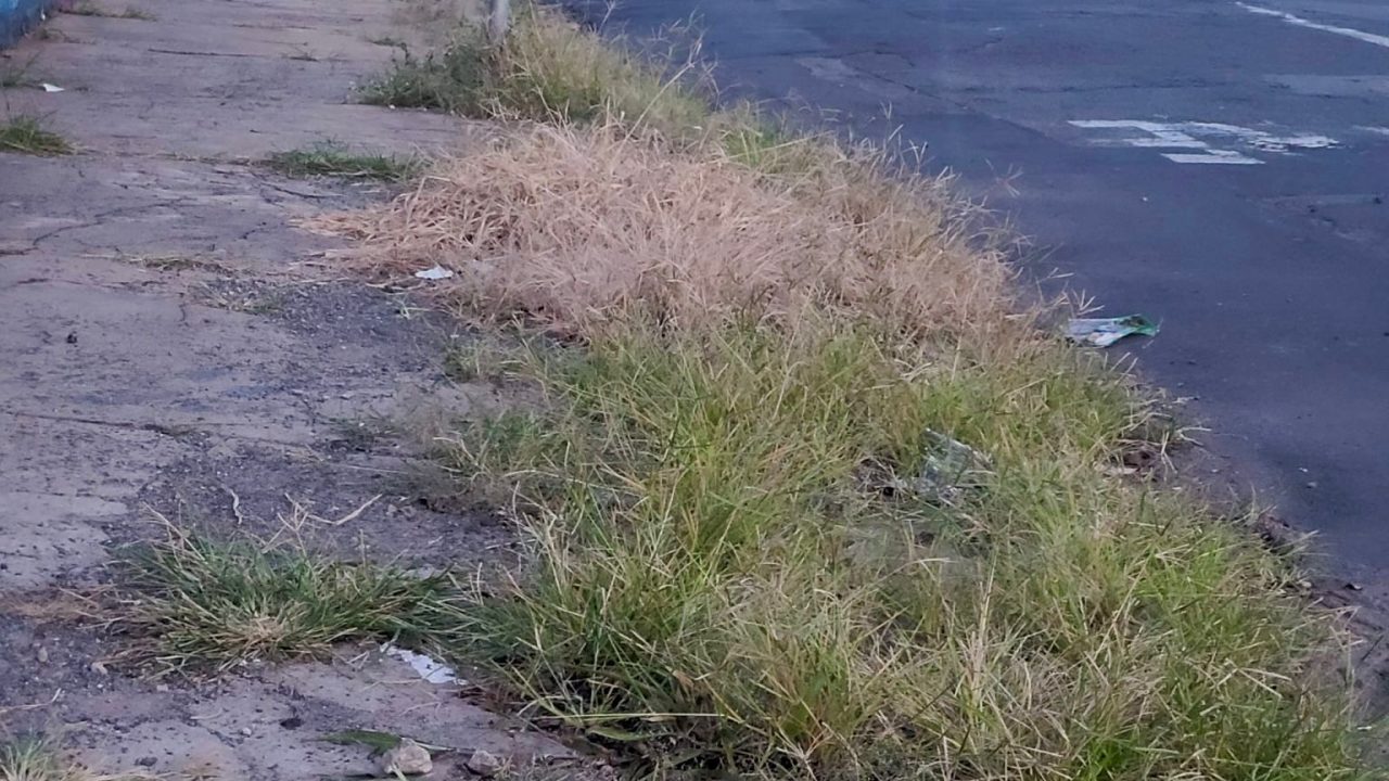 Fiscalização cobra manutenção de calçadas e notifica imóveis no Centro