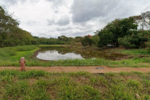 Idoso morre após se afogar em lago às margens da Limeira-Cordeirópolis
