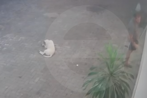 Morador de rua é flagrado se masturbando em frente a loja de lingerie no Centro de Limeira