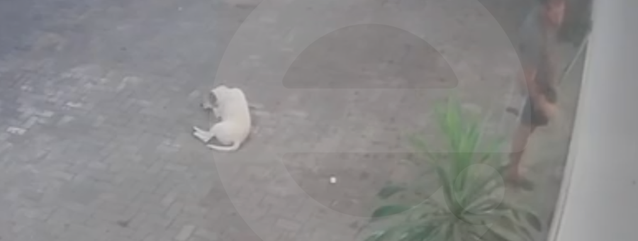 Morador de rua é flagrado se masturbando em frente a loja de lingerie no Centro de Limeira