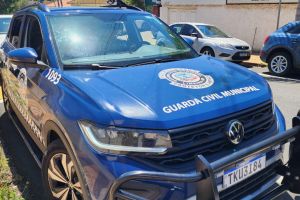 Mulher é presa após ameaçar e empurrar a mãe de 77 anos em Limeira