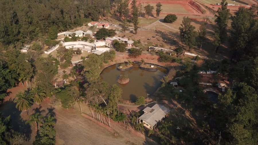 Zoológico de Limeira pode se tornar santuário de fauna silvestre