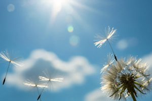 falecimentos de hoje, 25 de dezembro de 2025