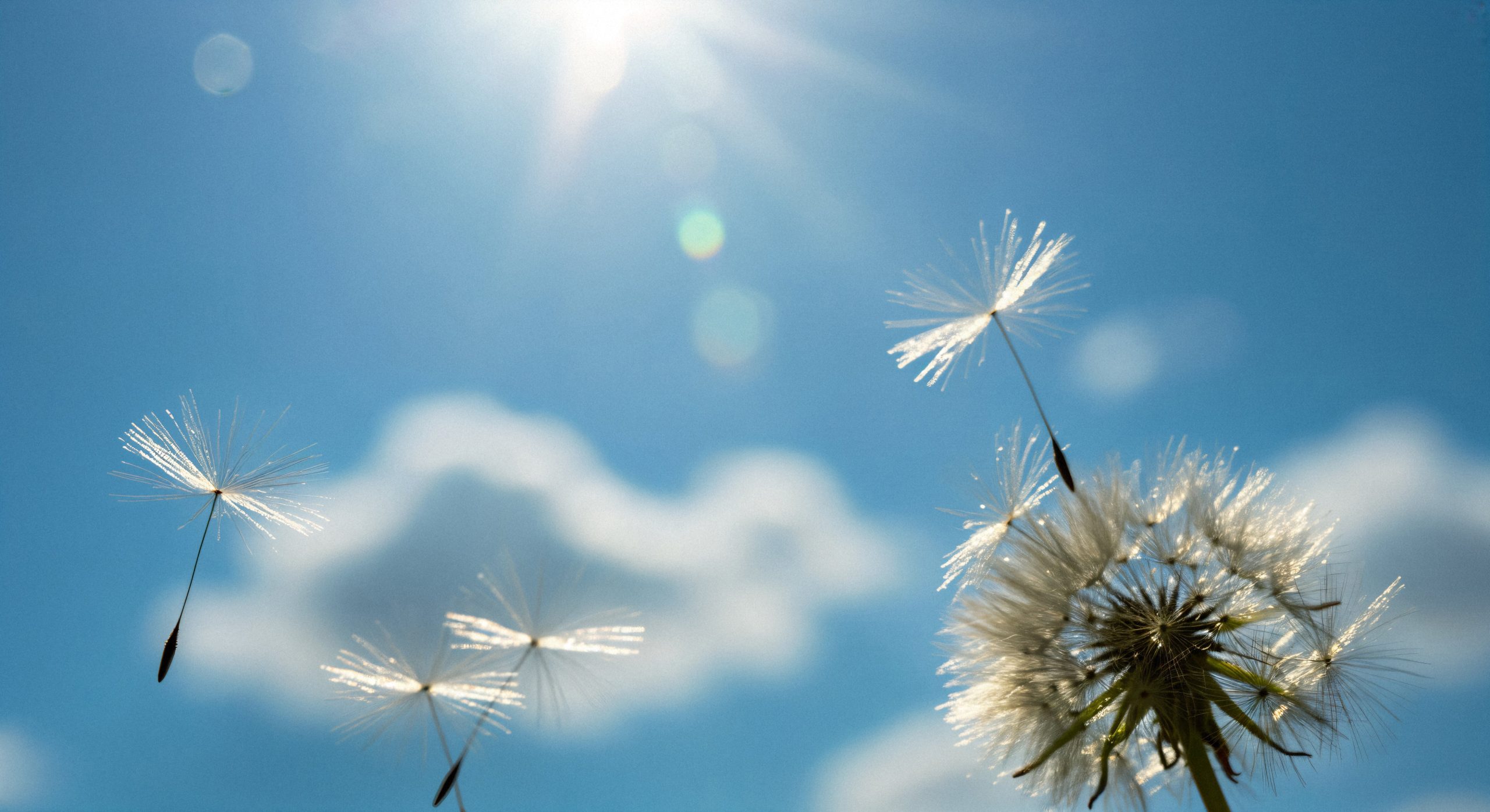 falecimentos de hoje, 25 de dezembro de 2025