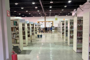 Biblioteca de Limeira promove jogos infantis durante as férias