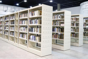 Clube do Livro debate obra de Conceição Evaristo em Limeira