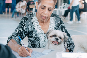 Limeira realiza mais de 3,6 mil castrações de cães e gatos ao longo de 2025