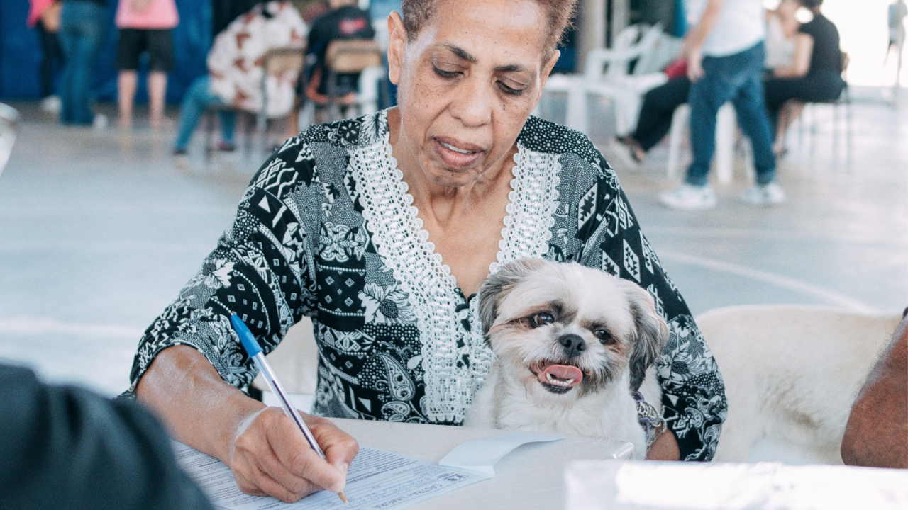 Limeira realiza mais de 3,6 mil castrações de cães e gatos ao longo de 2025