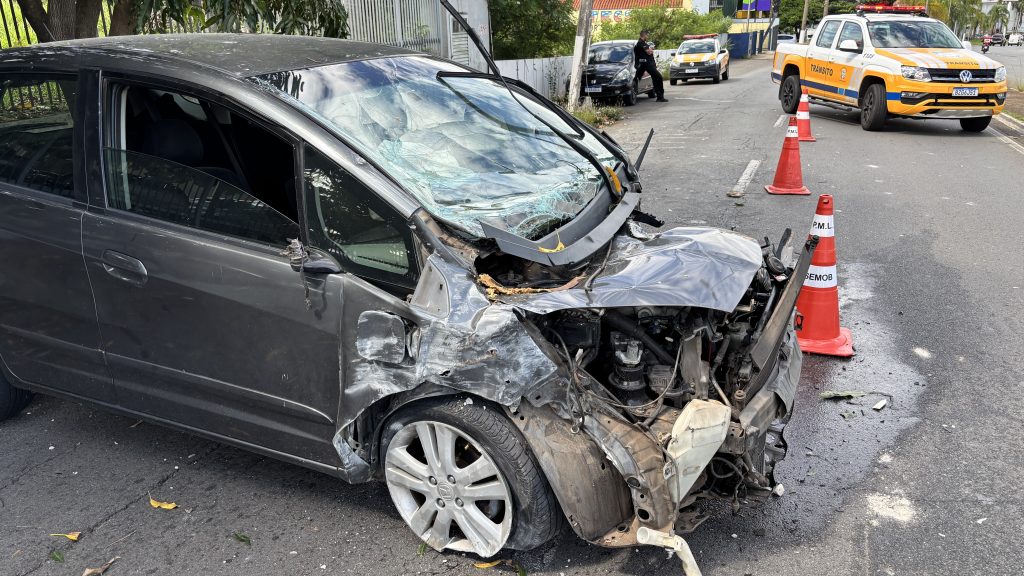 Mulher bate em poste e árvore na avenida Major Levy (2)