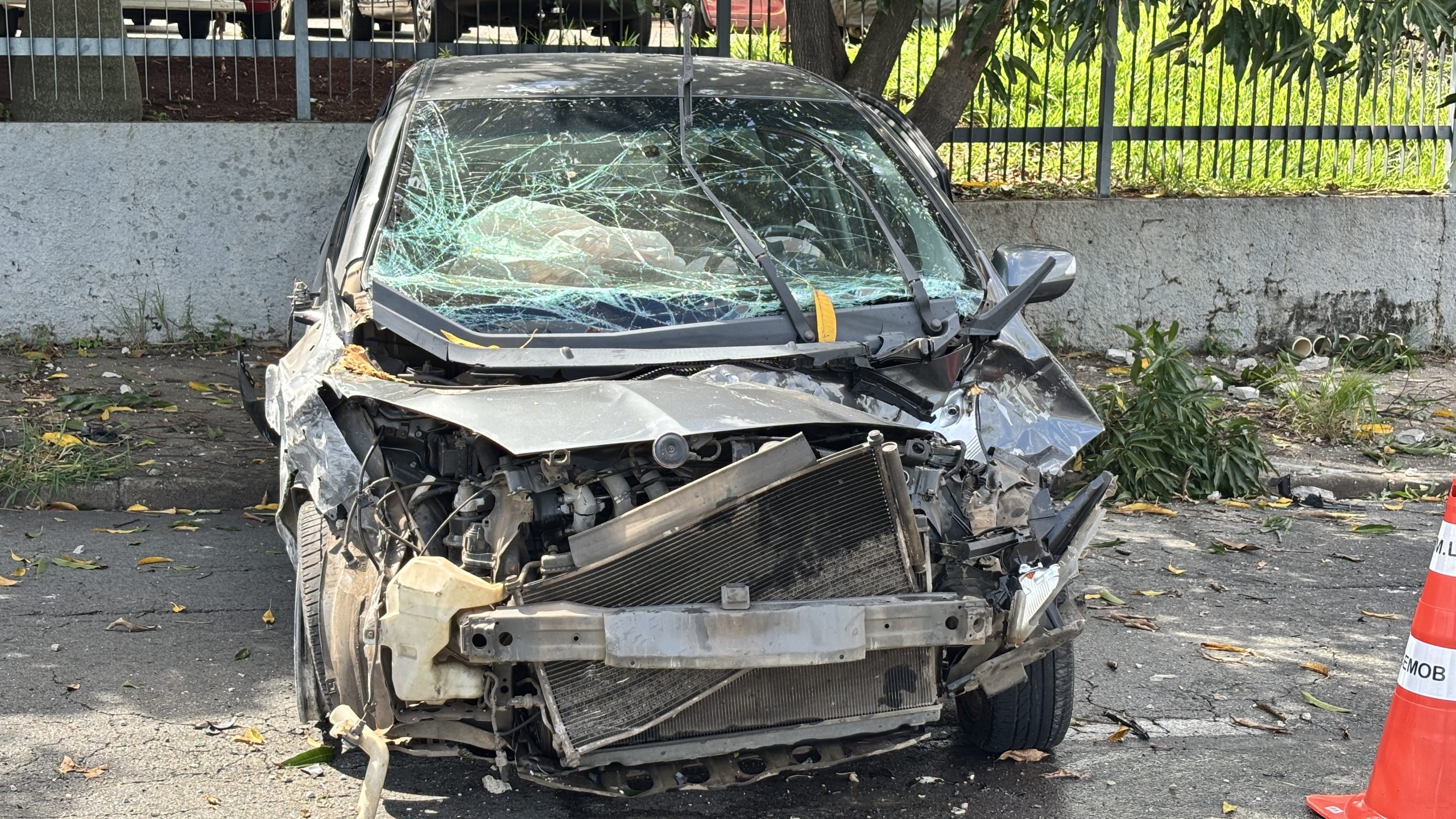 Mulher bate em poste e árvore na avenida Major Levy (4)