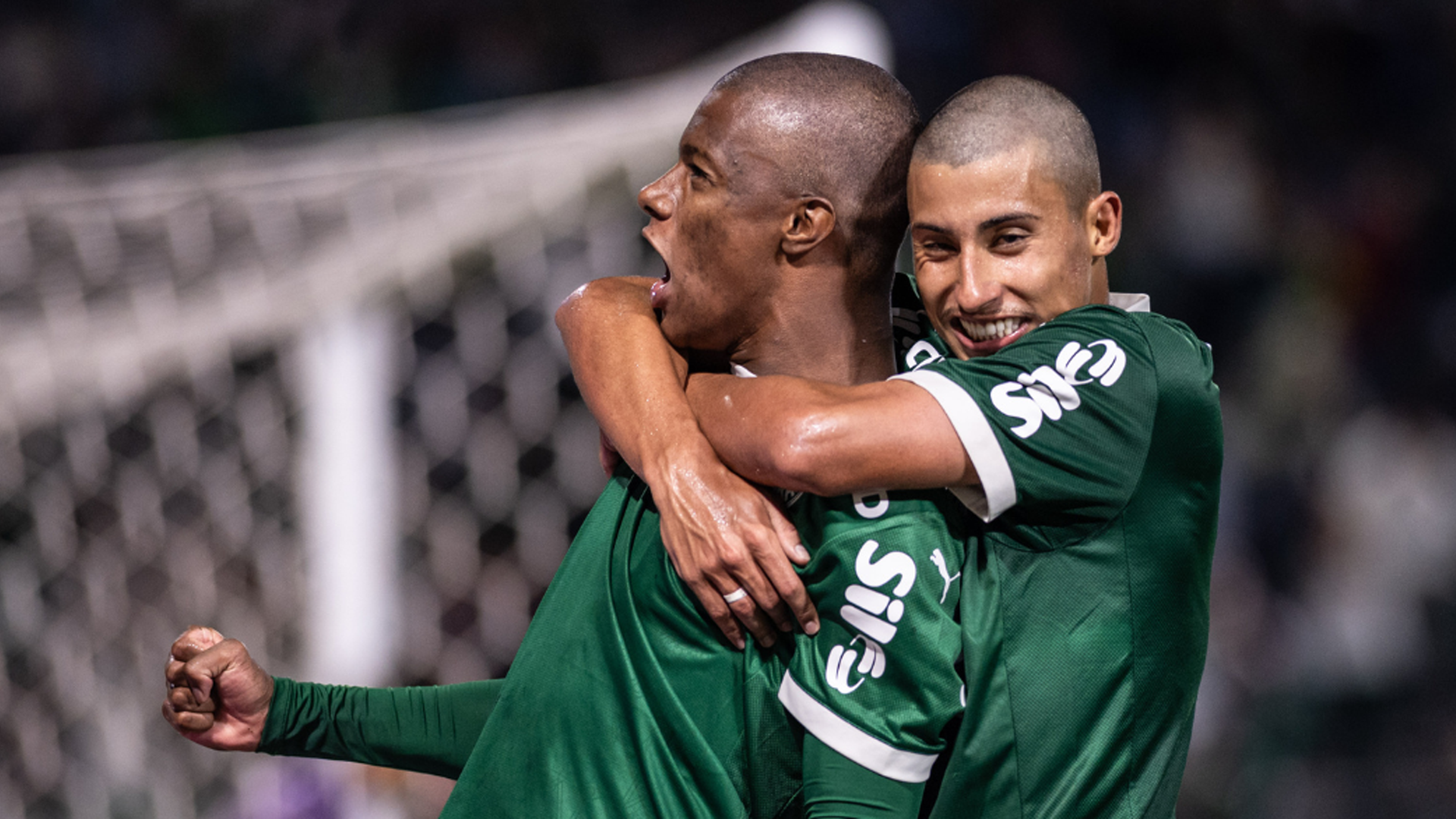 Palmeiras vence na estreia; Grêmio, Mirassol e Ponte Preta são os primeiros classificados