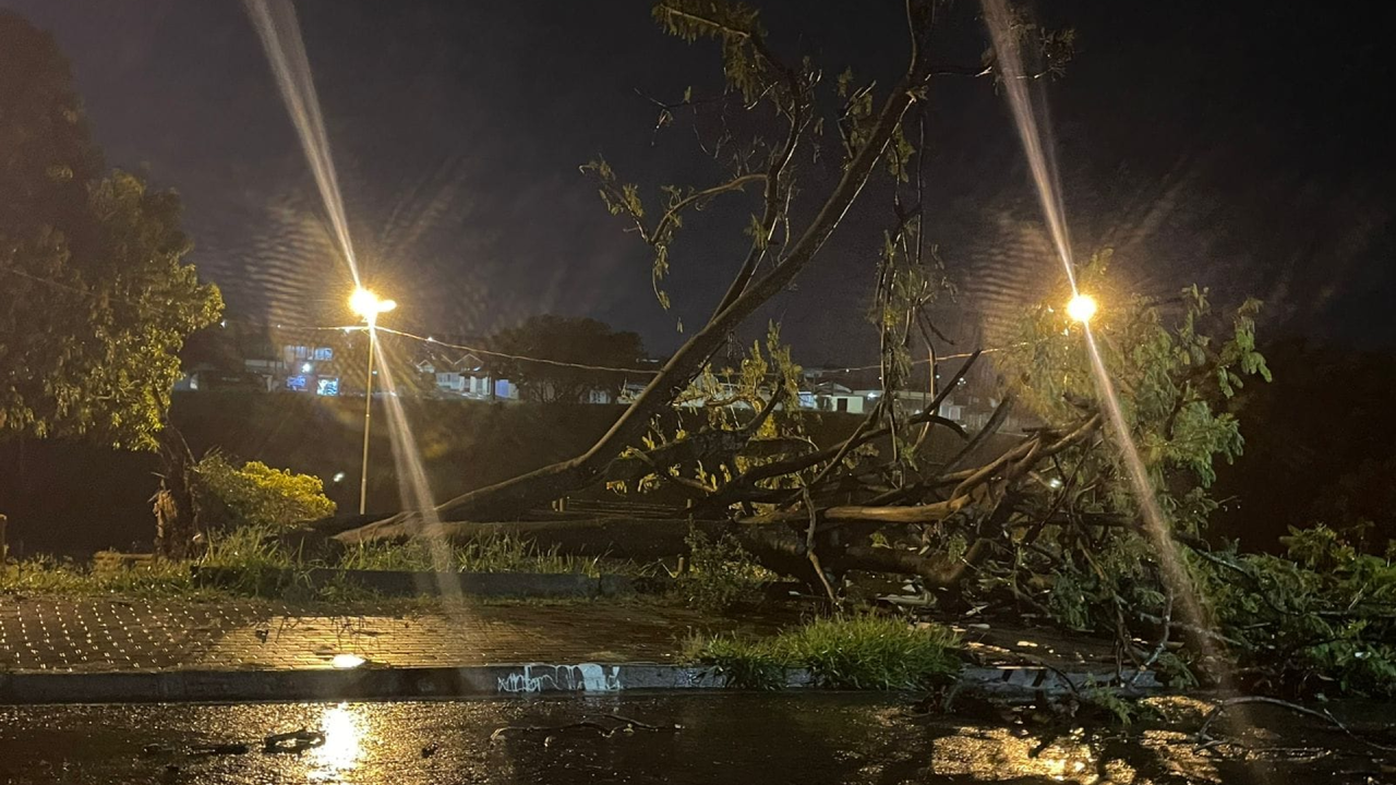 Tempestade em Limeira teve queda de árvores e regiões alagadas