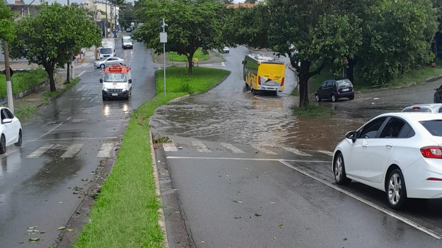 WhatsApp Image 2026-01-28 at 14.41.04