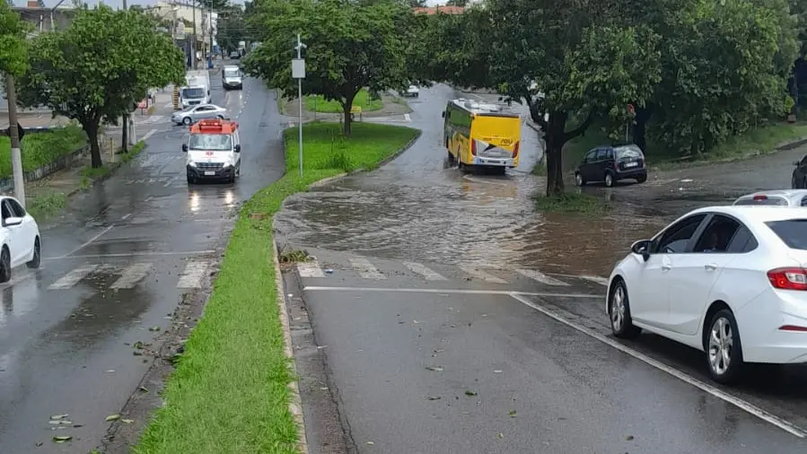 WhatsApp Image 2026-01-28 at 14.41.04