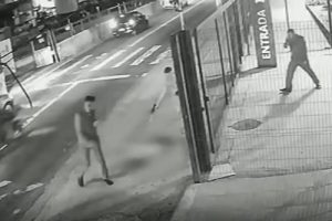 Cachorro é morto com dez tiros em frente a ponto de ônibus em SP