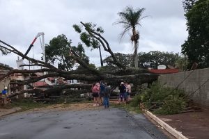 Iracemápolis e Cordeirópolis: região também foi afetada pelas chuvas