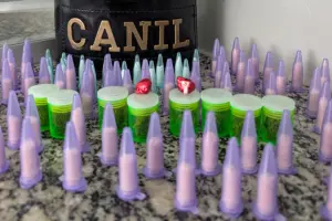 Cão da GCM localiza drogas enterradas em área de mata no Jd. Ouro Branco, em Limeira