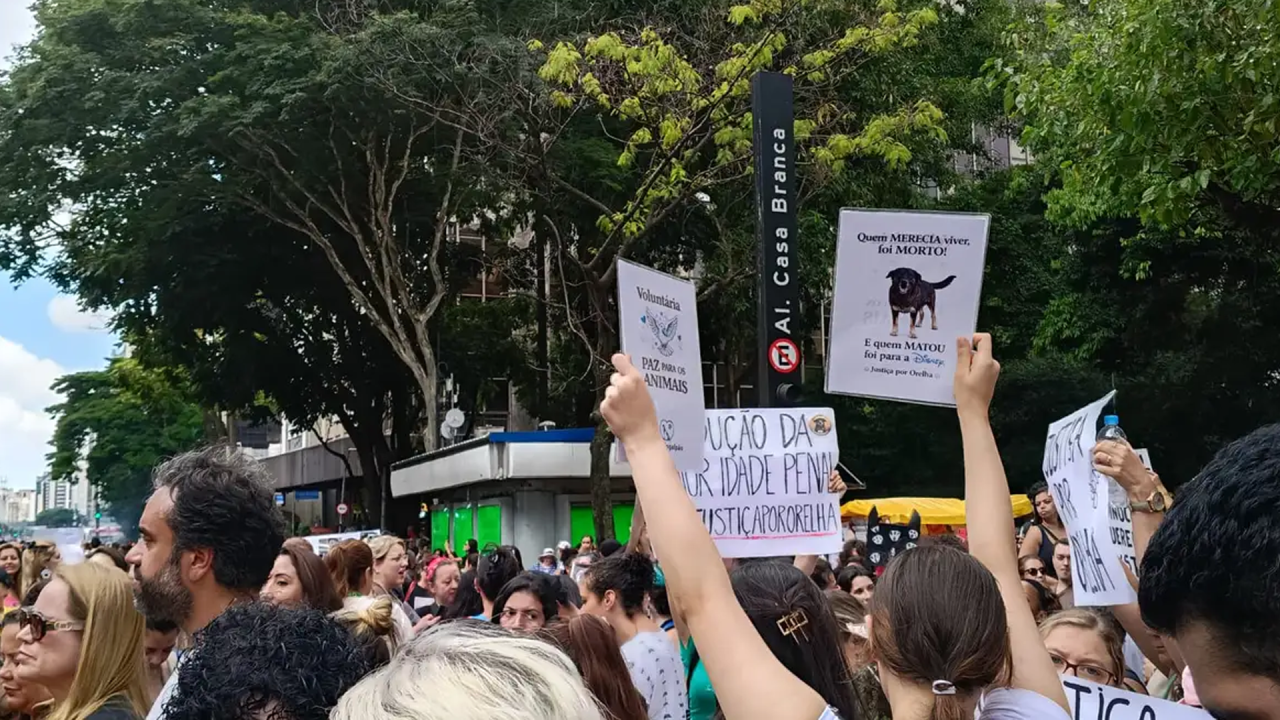 Centenas de pessoas em São Paulo pedem justiça pelo cão Orelha